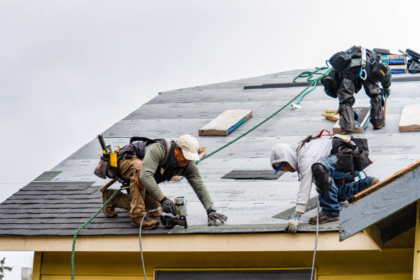 Professional Gutter Installation technician working in Alexandria, TN